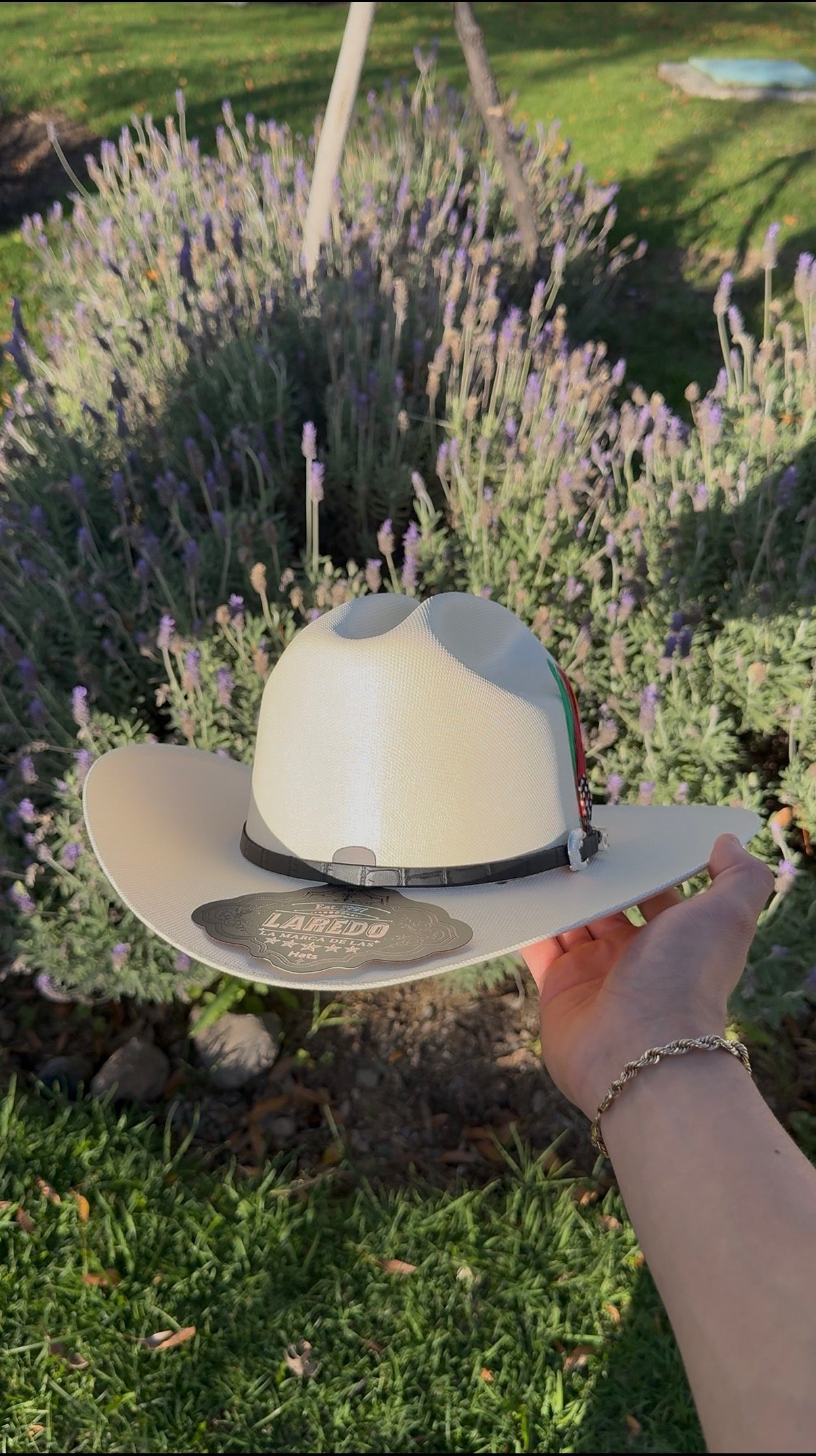 Laredo 1,000x Aligeitor Negro