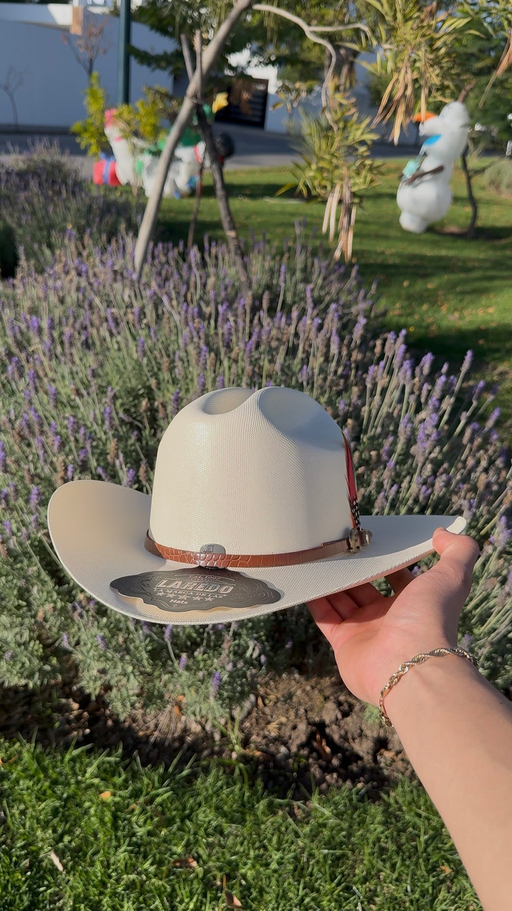 Laredo 1,000x     Aligeitor Cafe