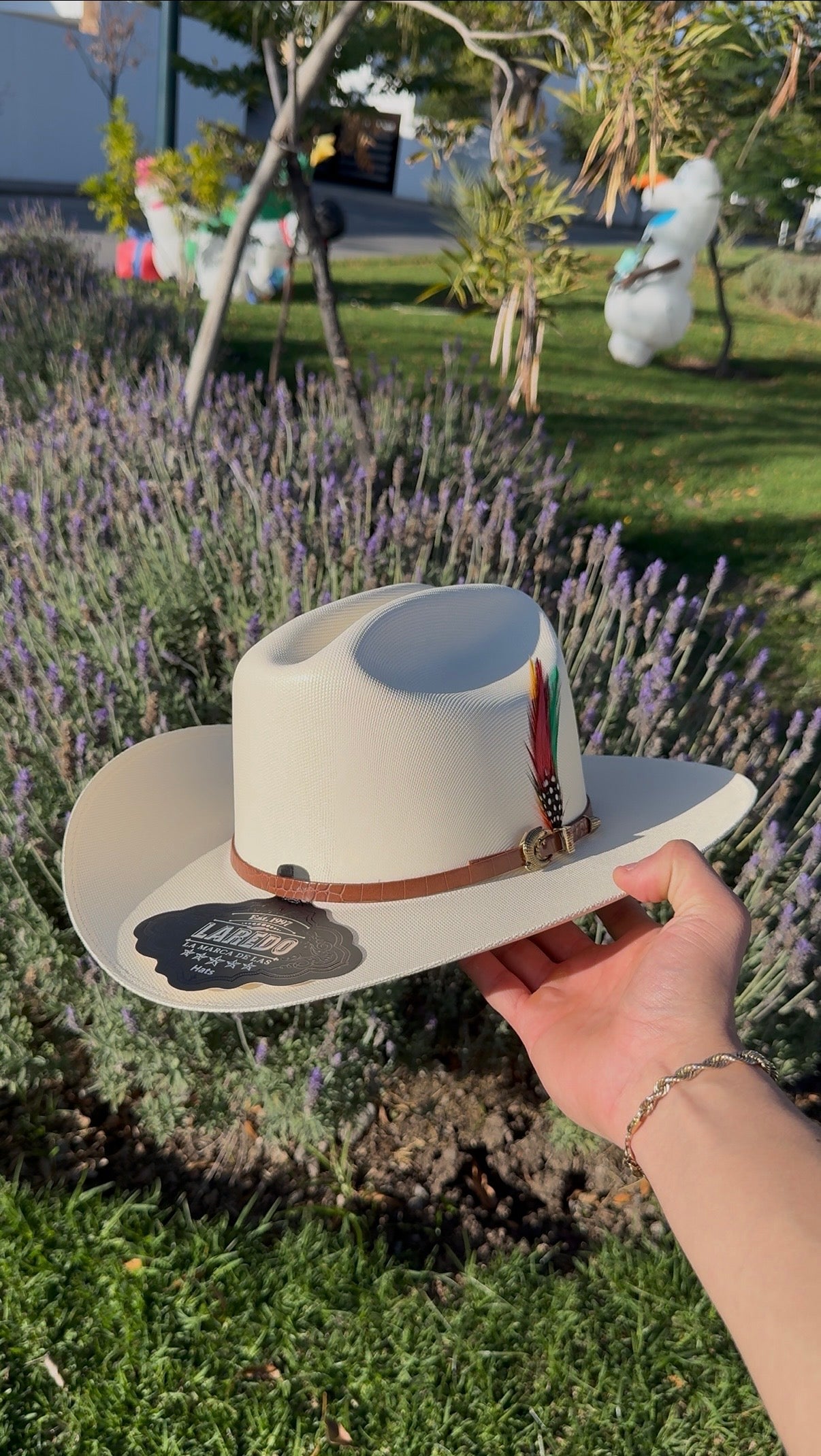 Laredo 1,000x     Aligeitor Cafe