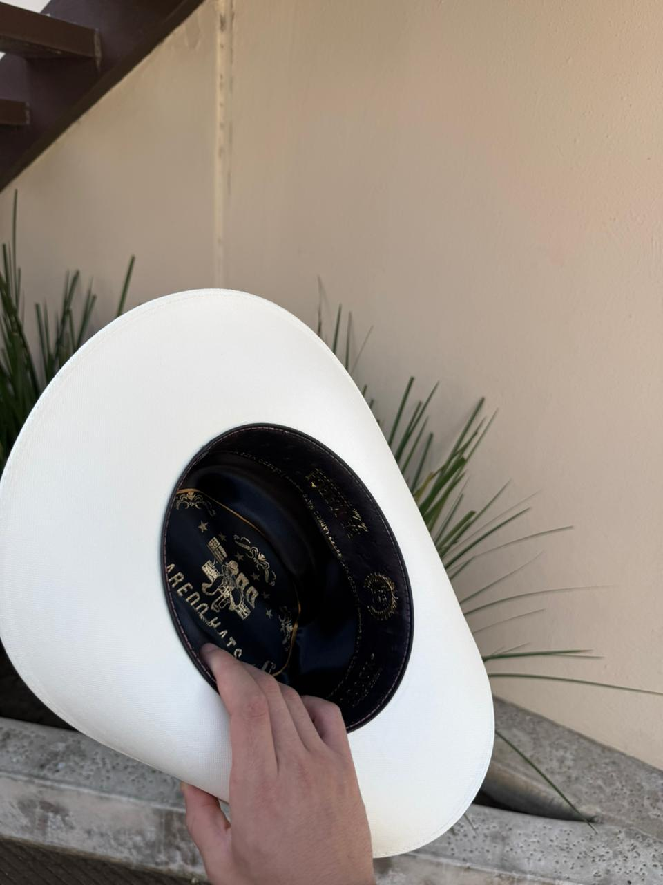 Laredo Fino 10,000x Sinaloa